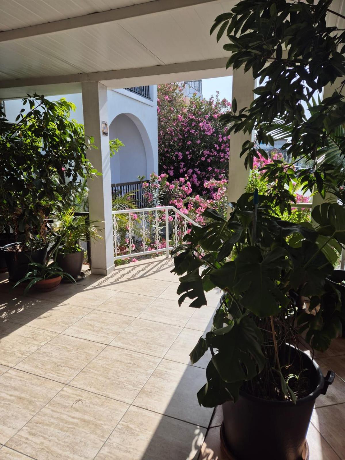 Διαμερίσματα Μυριάμα Αγία Νάπα Εξωτερικό φωτογραφία